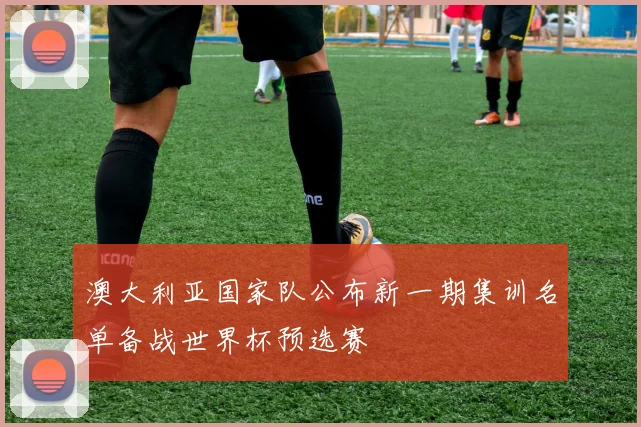 澳大利亚国家队公布新一期集训名单备战世界杯预选赛