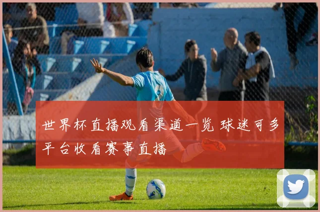 世界杯直播观看渠道一览 球迷可多平台收看赛事直播