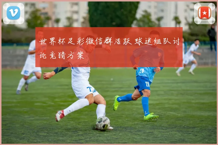 世界杯足彩微信群活跃 球迷组队讨论竞猜方案