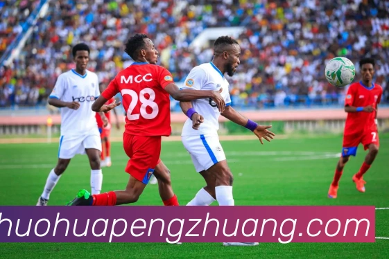 人人体育官网直播平台生态图